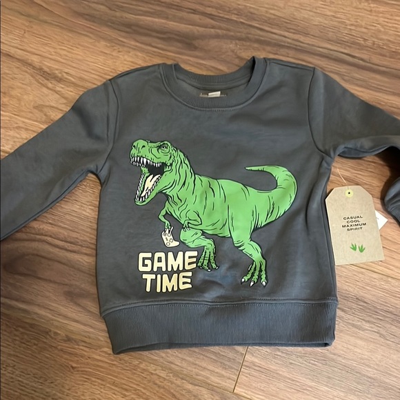 Kids Dinosaur Graphic Sweatshirt - Gray & Green - Picture 1 of 1